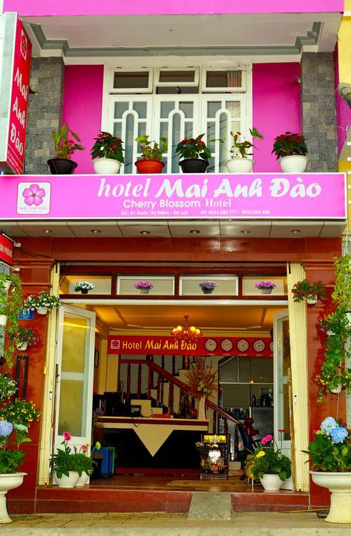 Mai Anh Dao Hotel دالات الغرفة الصورة
